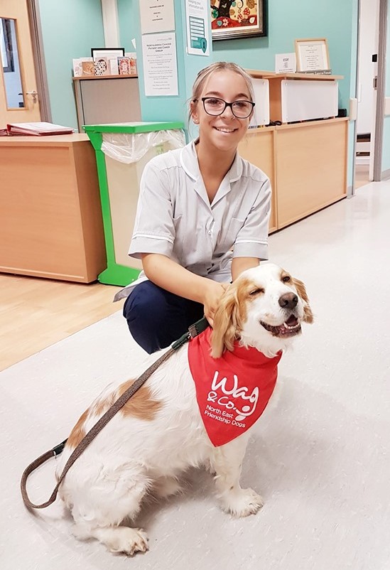 A volunteer kneeling with a dog