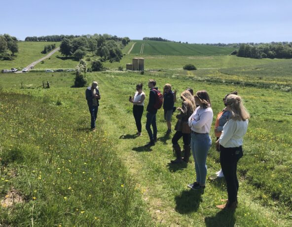 A visit to Cranborne Chase