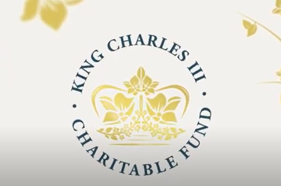 Logo screenshot frame