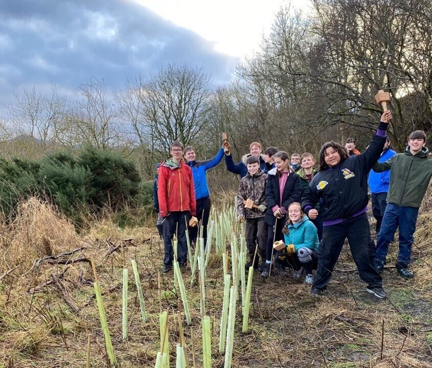 The Green Team at work